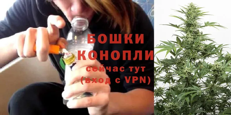 купить наркотики цена  Нюрба  Канабис SATIVA & INDICA 